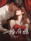 二婚有瘾