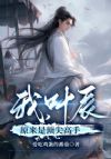 我,叶辰原来是顶尖高手